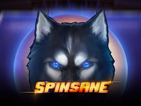 Spinsane