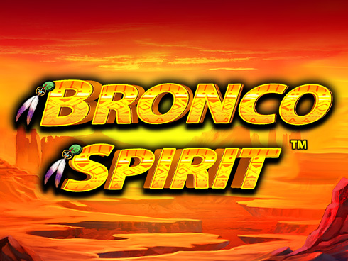 Bronco Spirit