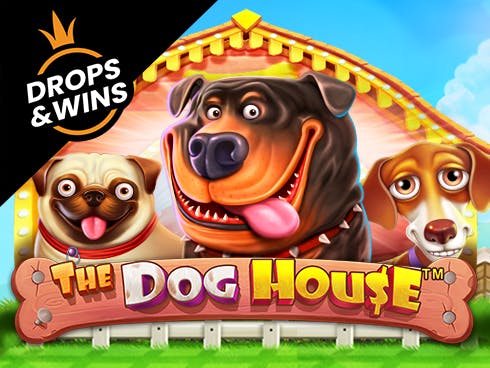 The Dog House 게임 | Bitcasino에서 Bitcoin으로 플레이하세요